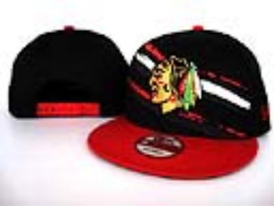 Cheap NHL hats wholesale No. 9